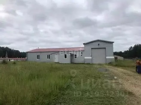 Склад в Калужская область, Юхновский район, Беляево с/пос, д. Беляево ... - Фото 1