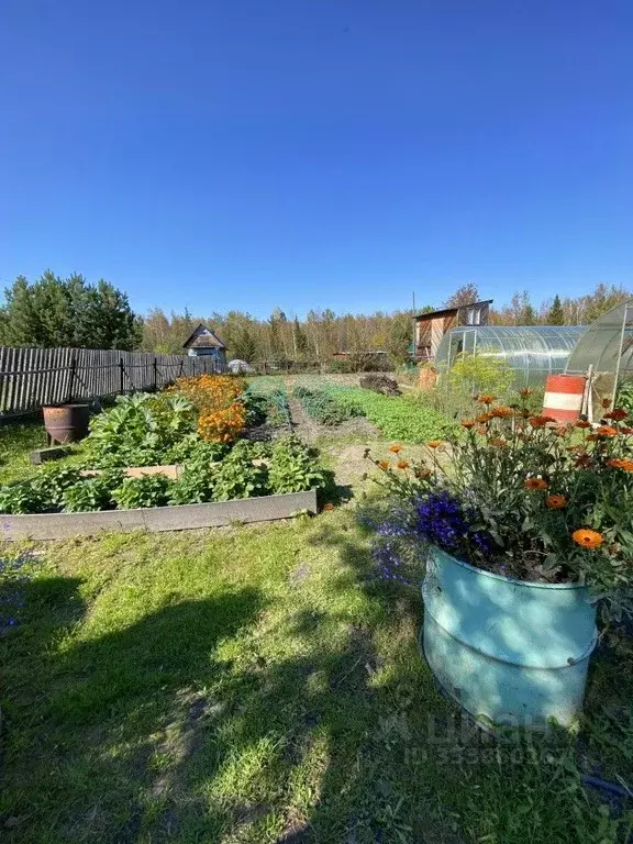 Дом в Томская область, Северск  (50 м) - Фото 2