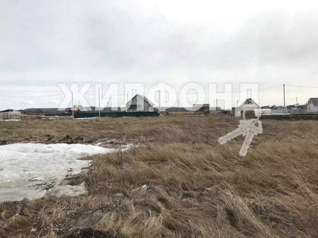 Купить Квартиру В Агролесе Искитимский Район