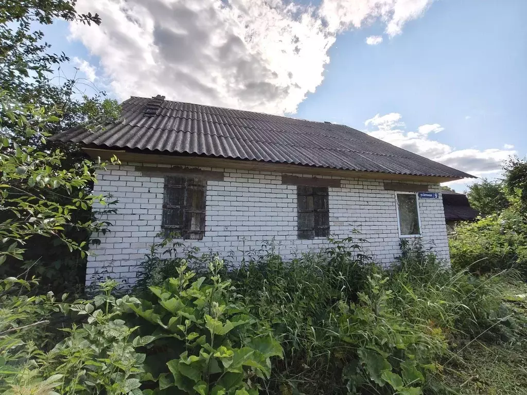 Дом в Нижегородская область, Володарск Затонная ул., 9 (68 м) - Фото 0