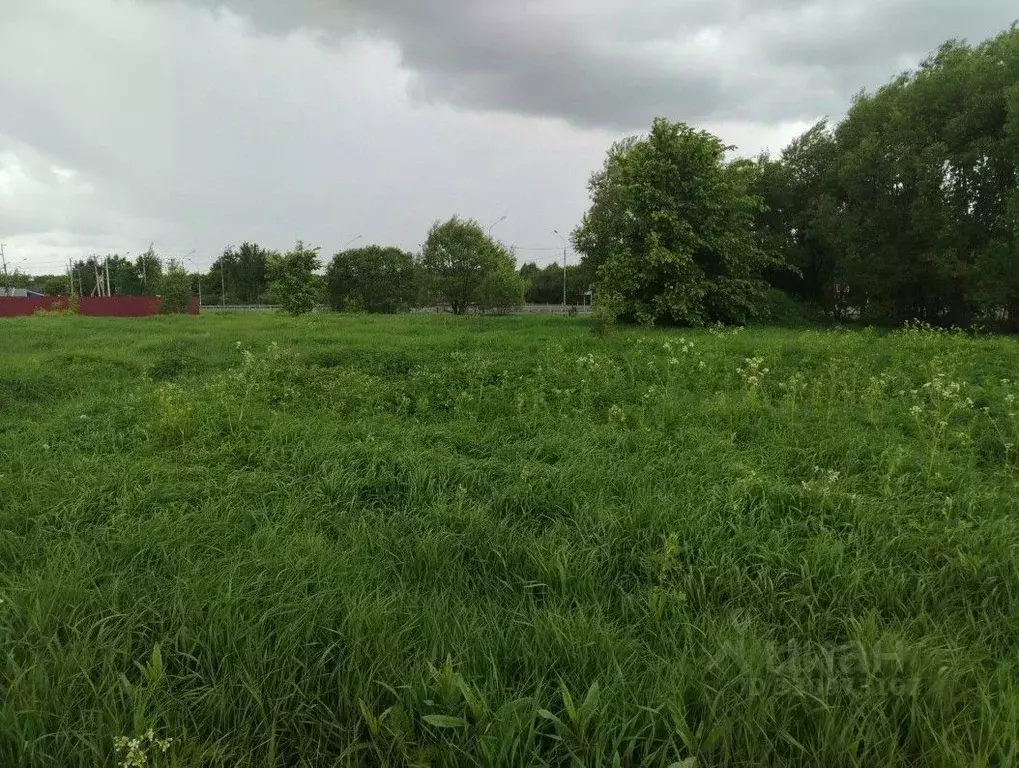 Участок в Московская область, Орехово-Зуевский городской округ, д. ... - Фото 1