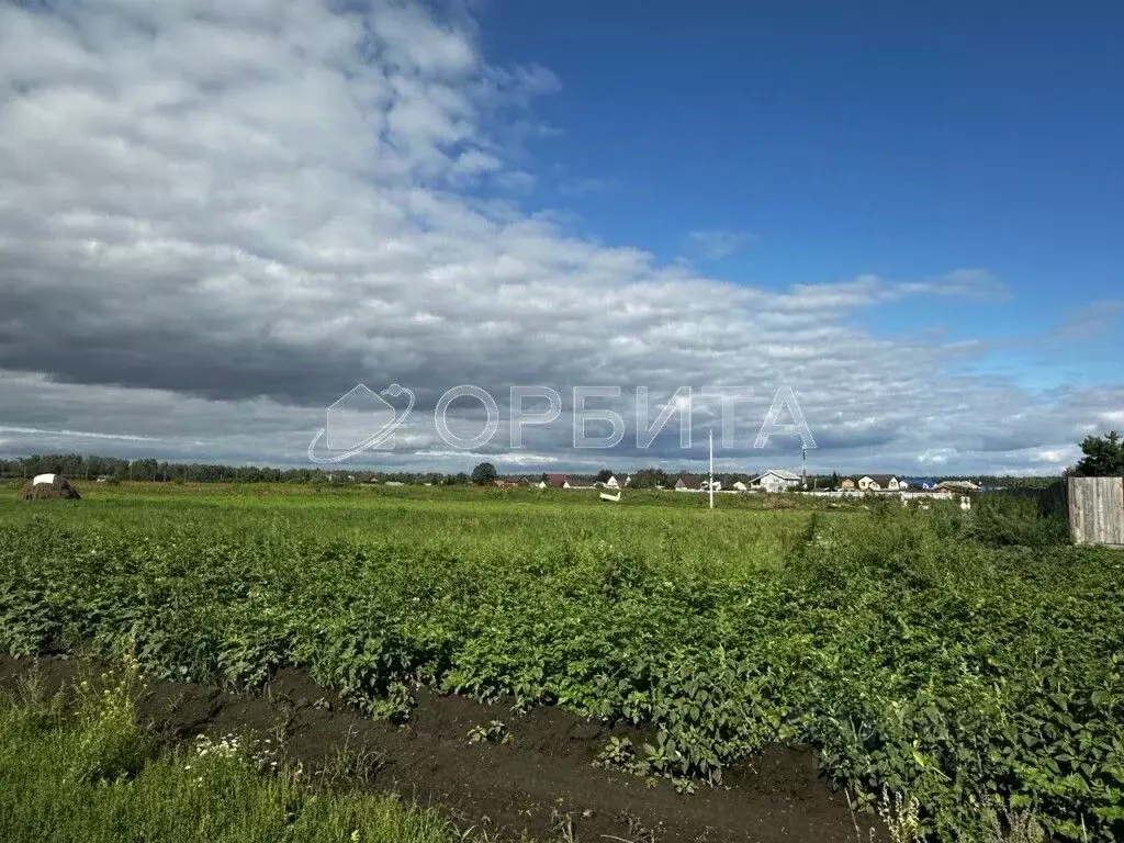 Участок в Тюменская область, Тюменский муниципальный округ, с. Успенка ... - Фото 1