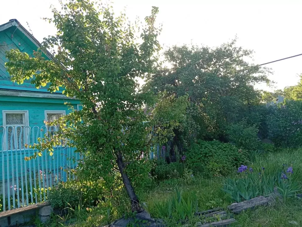 Дом в Саратовская область, пос. Тепличный ул. Монтажная, 39 (43 м) - Фото 2