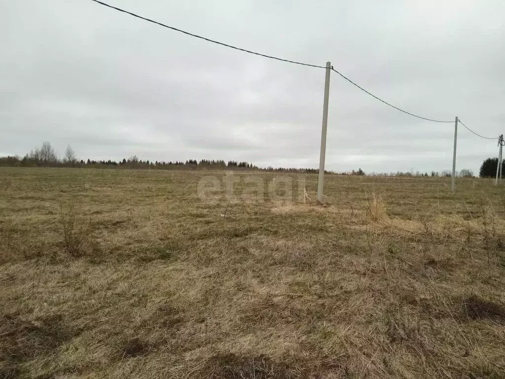 Участок в Вологодская область, д. Токарево (Спасский сельсовет)  (10.0 ... - Фото 2