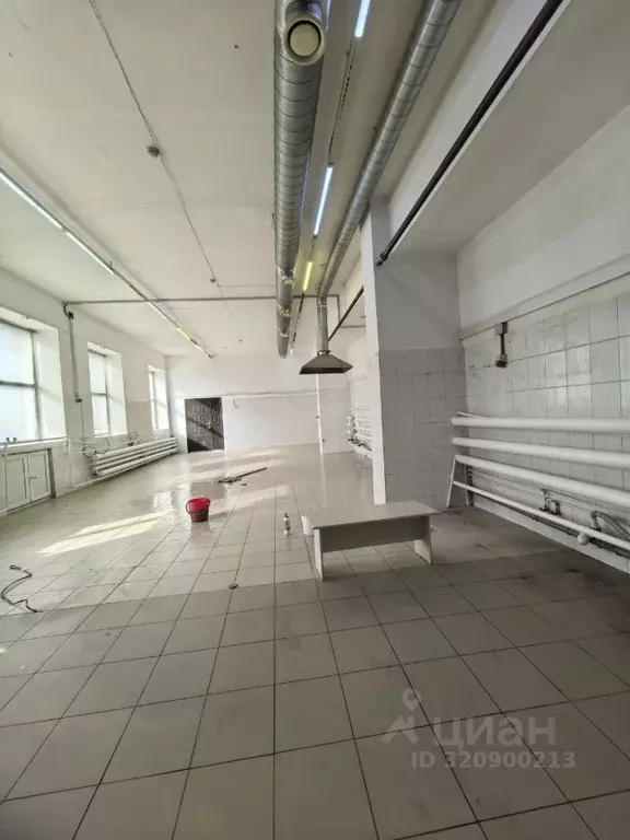 Помещение свободного назначения в Новосибирская область, Новосибирск ... - Фото 2