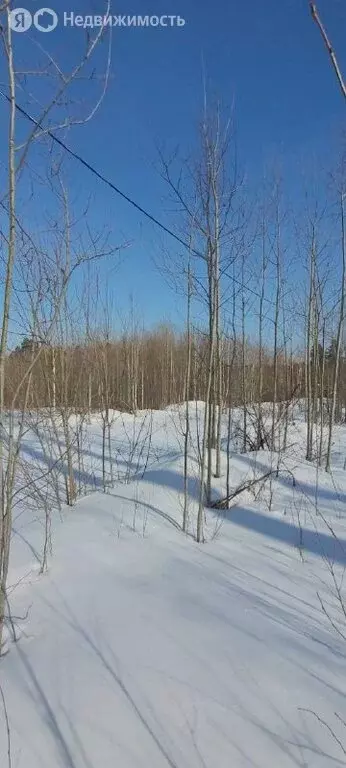 Участок в Иркутский муниципальный округ, СНТ Ручейки (10 м) - Фото 2