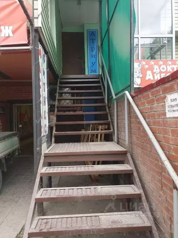 Помещение свободного назначения в Новосибирская область, Бердск ... - Фото 1