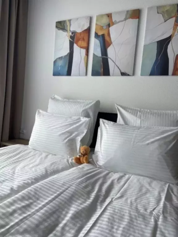 1-к кв. Карелия, Петрозаводск ул. Антикайнена, 38 (25.0 м) - Фото 2