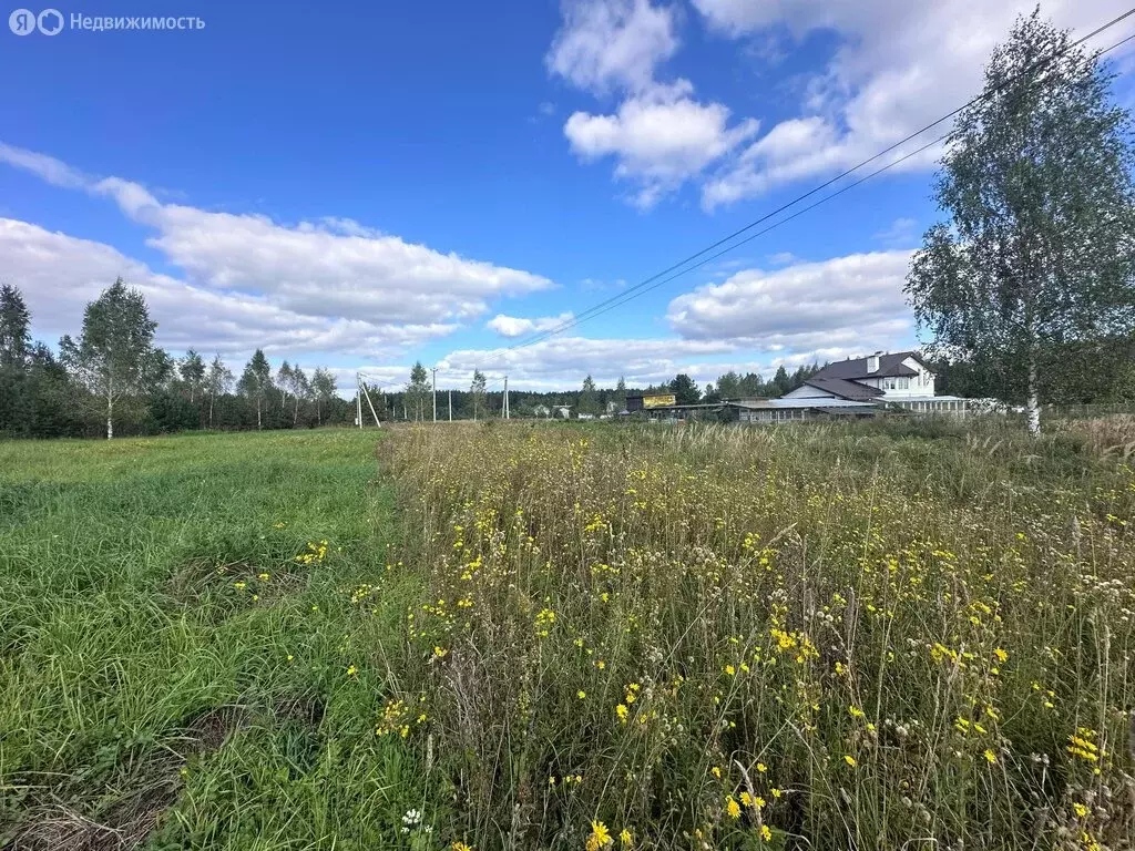 Участок в Московская область, городской округ Воскресенск, деревня ... - Фото 2