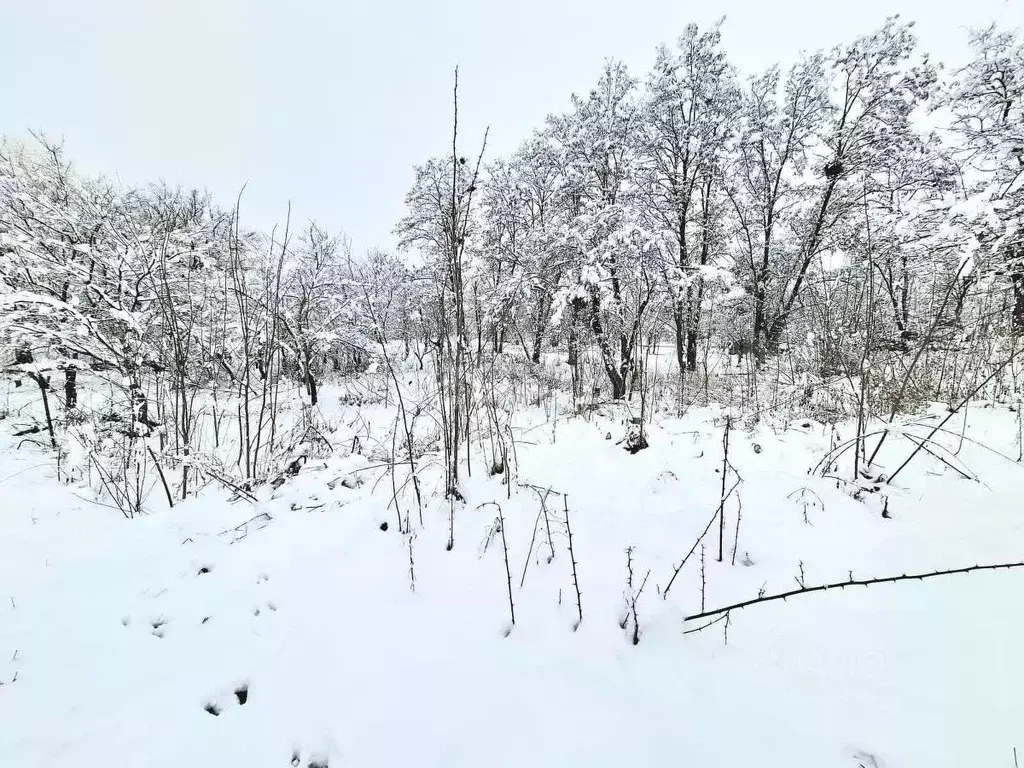 Участок в Адыгея, Майкоп городской округ, Гавердовский хут. ул. ... - Фото 1