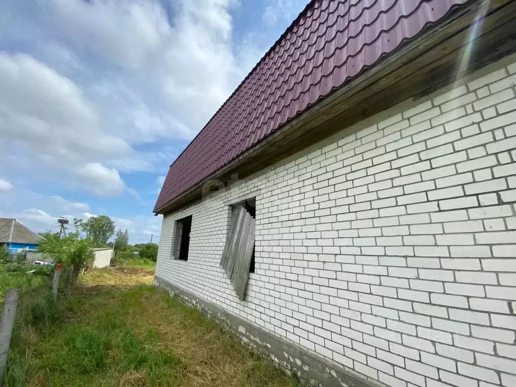 Дом в Брянская область, Выгоничский район, Кокинское с/пос, с. Палужье ... - Фото 2