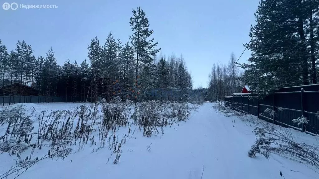 Участок в Нижегородская область, Городецкий муниципальный округ, ... - Фото 2
