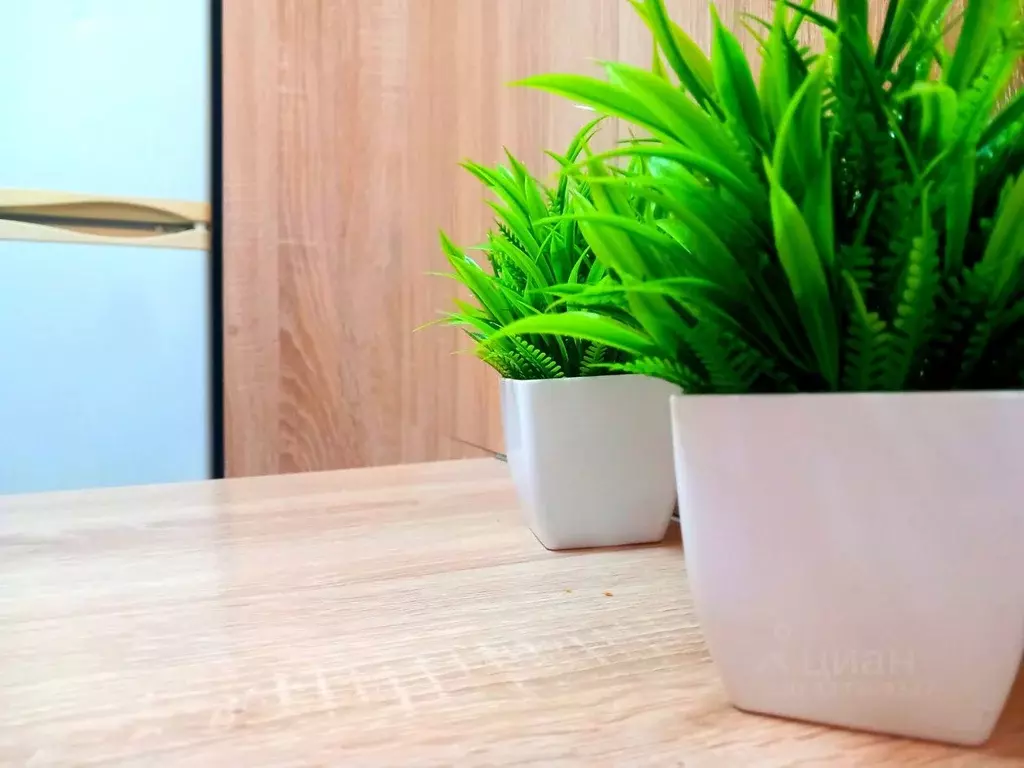 Студия Башкортостан, Уфимский район, с. Михайловка ул. Сливовая, 7 ... - Фото 2