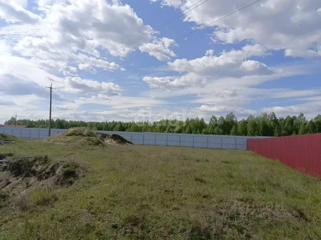 Участок в Нижегородская область, Выкса городской округ, с. Борковка  ... - Фото 0