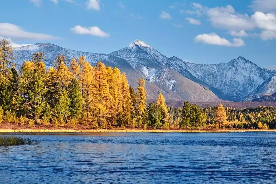 Участок в Алтай, Турочакский район, с. Ново-Троицк  (11.0 сот.) - Фото 0