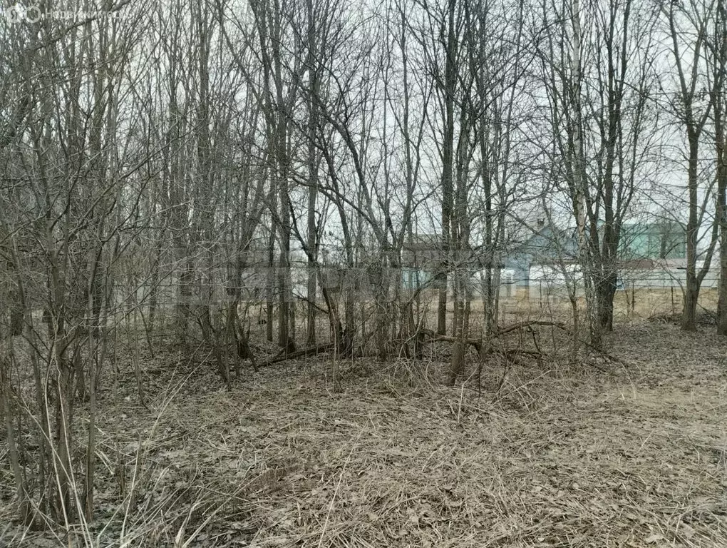 Участок в Смоленск, Рославльское шоссе, 7 (11.5 м) - Фото 0