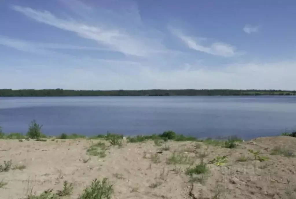 Участок в Новгородская область, Демянский муниципальный округ, д. ... - Фото 1