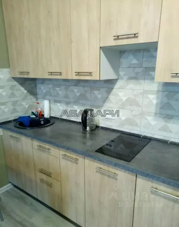Студия Красноярский край, Красноярск ул. Академика Вавилова, 56В (35.0 ... - Фото 1