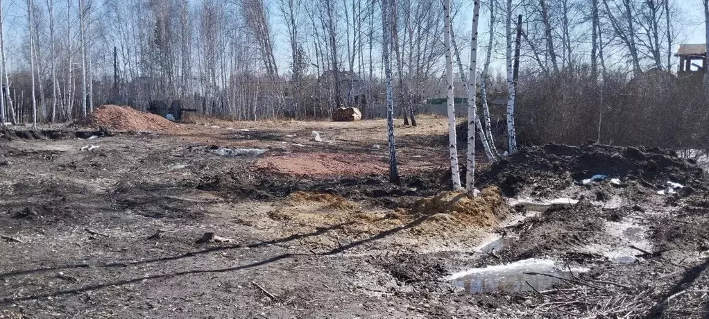 Участок в Челябинская область, Копейск Любитель СНТСН,  (5.0 сот.) - Фото 0