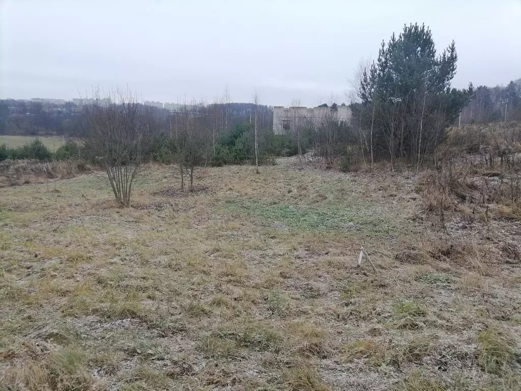 Участок в Калужская область, Калуга городской округ, д. Карачево ул. ... - Фото 1