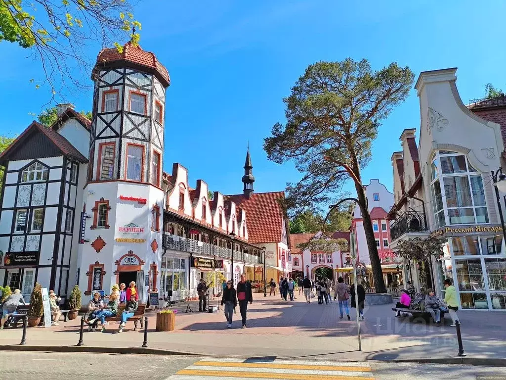 Студия Калининградская область, Светлогорск Центральная пл., 1к2 (28.0 ... - Фото 1