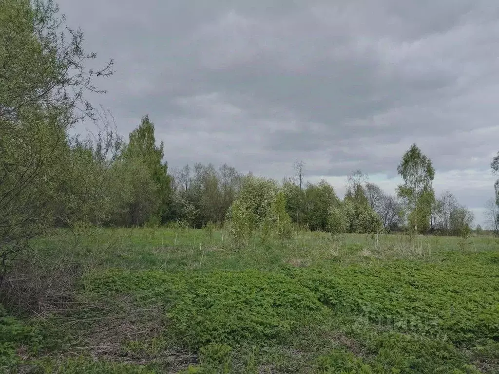 Участок в Марий Эл, Оршанский район, Марковское с/пос, с. Упша ул. ... - Фото 1