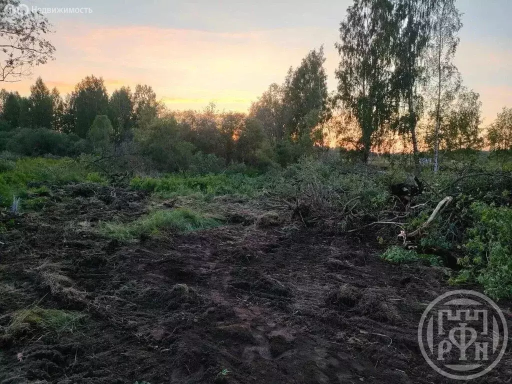 Участок в Ларионовское сельское поселение, посёлок Синёво (11.72 м) - Фото 1