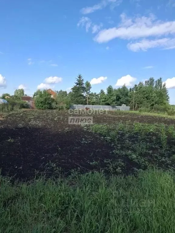 Участок в Омская область, Таврический район, Озерное СНТ  (12.0 сот.) - Фото 1