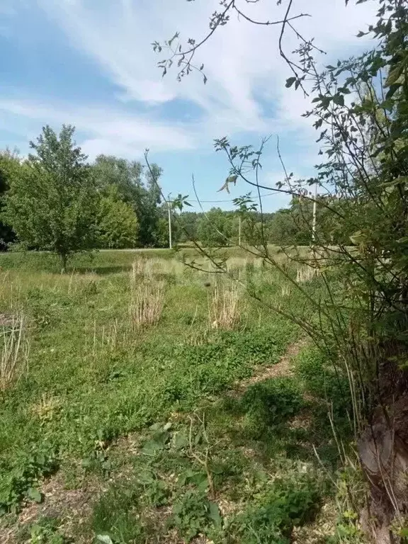 Участок в Белгородская область, Старооскольский городской округ, с. ... - Фото 1