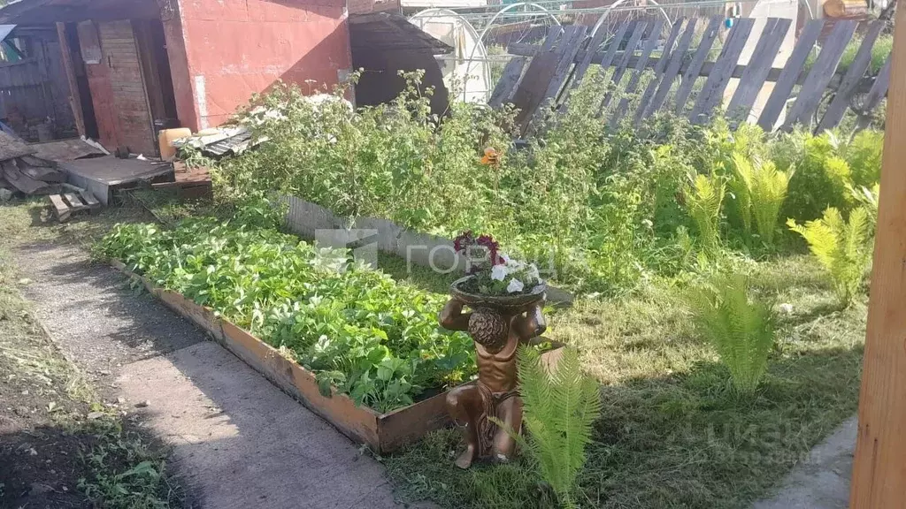 Участок в Новосибирская область, Новосибирский район, Станционный ... - Фото 0