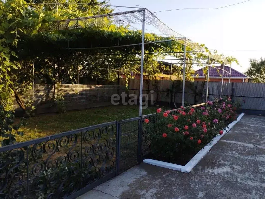 Дом в Адыгея, Шовгеновский район, Хатажукайское с/пос, Пшичо аул ул. ... - Фото 1