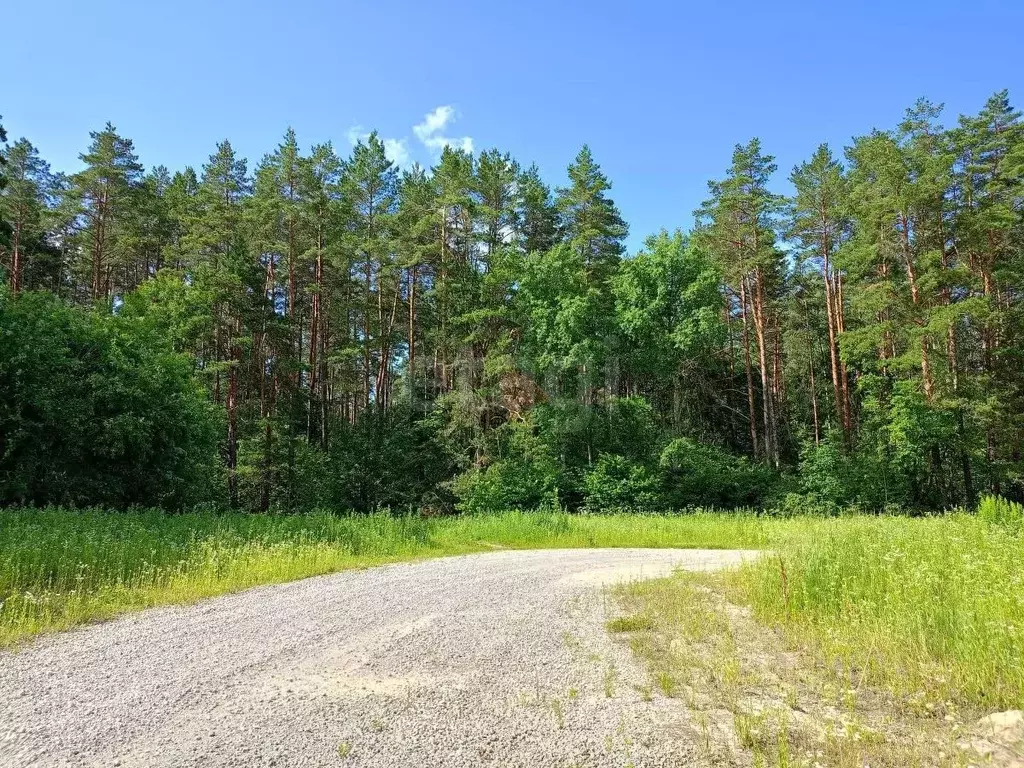 Участок в Брянская область, Брянский район, Новодарковичское с/пос, д. ... - Фото 1