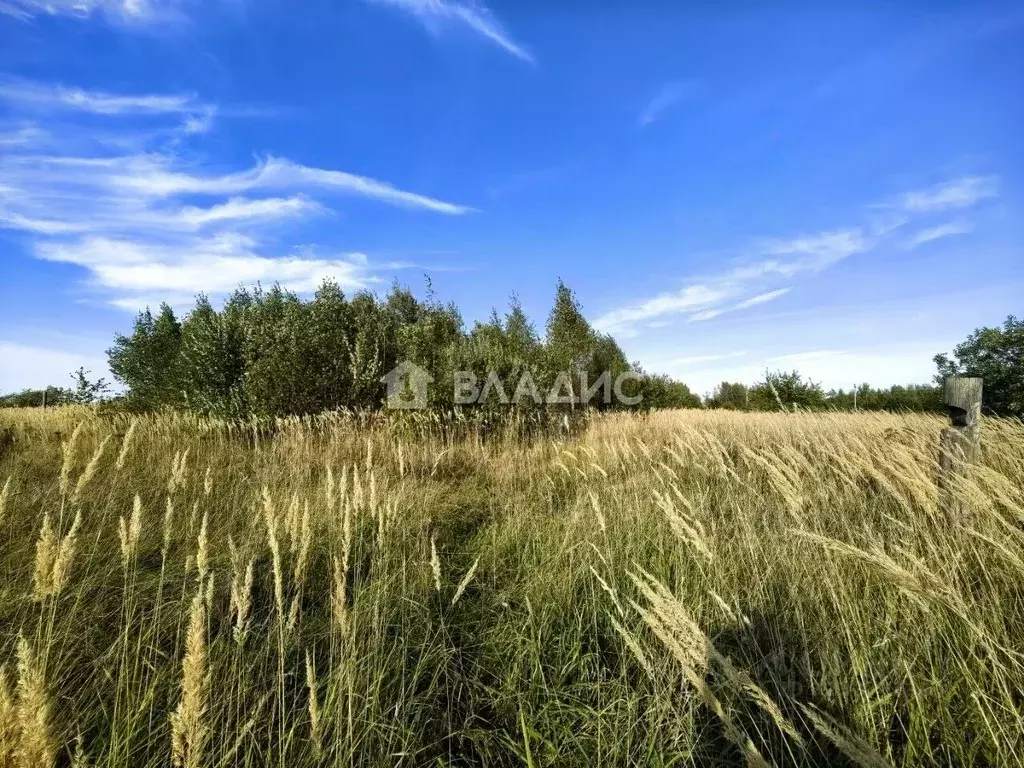 Участок в Ивановская область, Ивановский район, Богданихское с/пос, д. ... - Фото 2