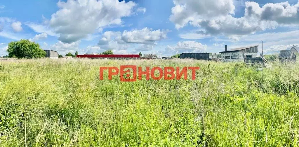 Участок в Новосибирская область, Ордынский район, д. Новый Шарап ... - Фото 0