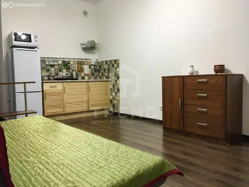 Квартира-студия: Санкт-Петербург, Плесецкая улица, 20к1 (24 м) - Фото 2