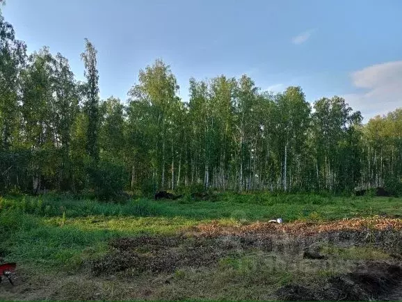 Участок в Челябинская область, Сосновский район, Кременкульское с/пос, ... - Фото 1