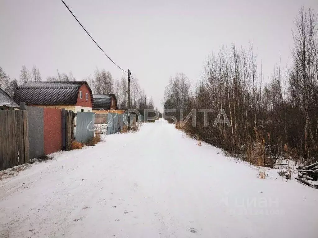 Участок в Тюменская область, Тюмень СОСН Березка-3 тер., ул. 15-я (9.0 ... - Фото 0