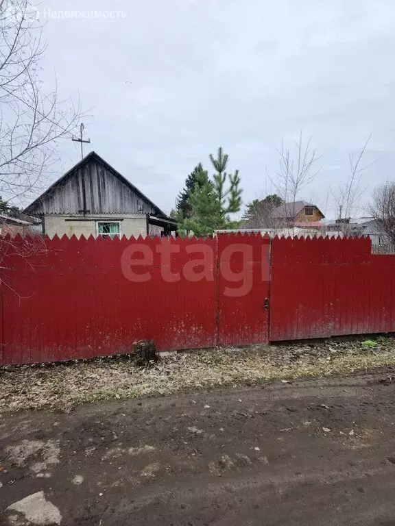 Дом в Омск, территория СОСН Амурский, 1-я аллея (13.9 м) - Фото 2