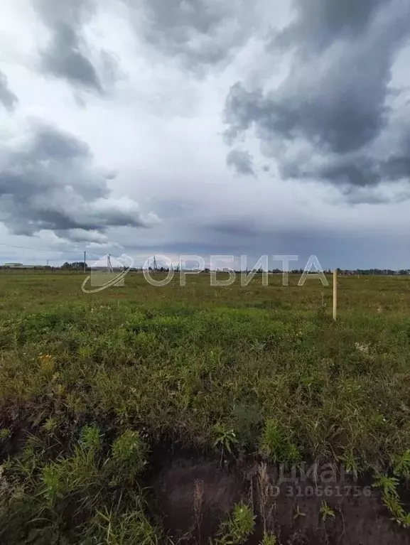 Участок в Тюменская область, Тюменский район, с. Ембаево  (7.49 сот.) - Фото 1