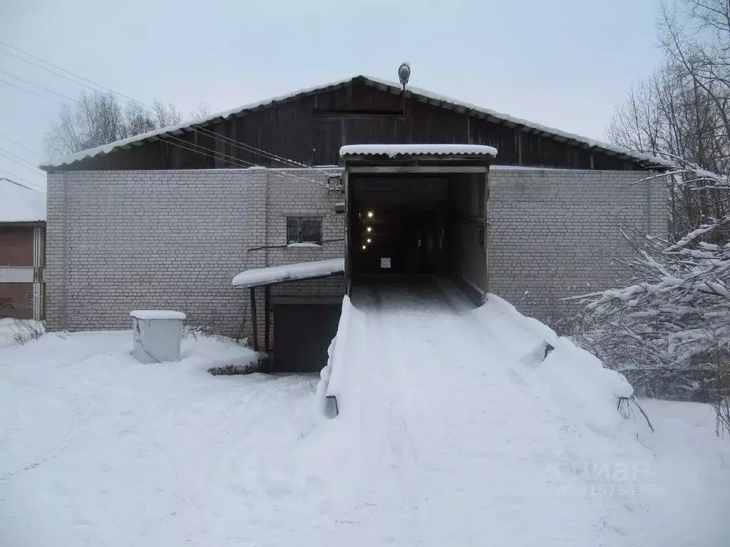 Гараж в Архангельская область, Архангельск ул. Теснанова, 3к1 (19 м) - Фото 0
