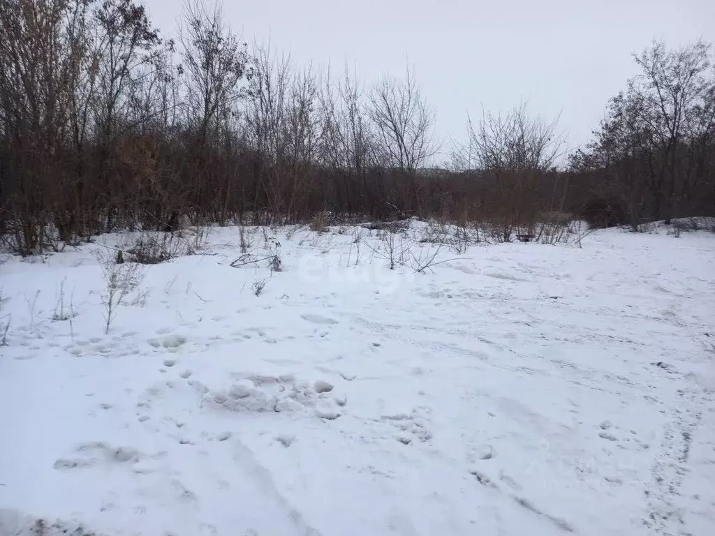 Участок в Белгородская область, Губкин ул. Мира (7.18 сот.) - Фото 1