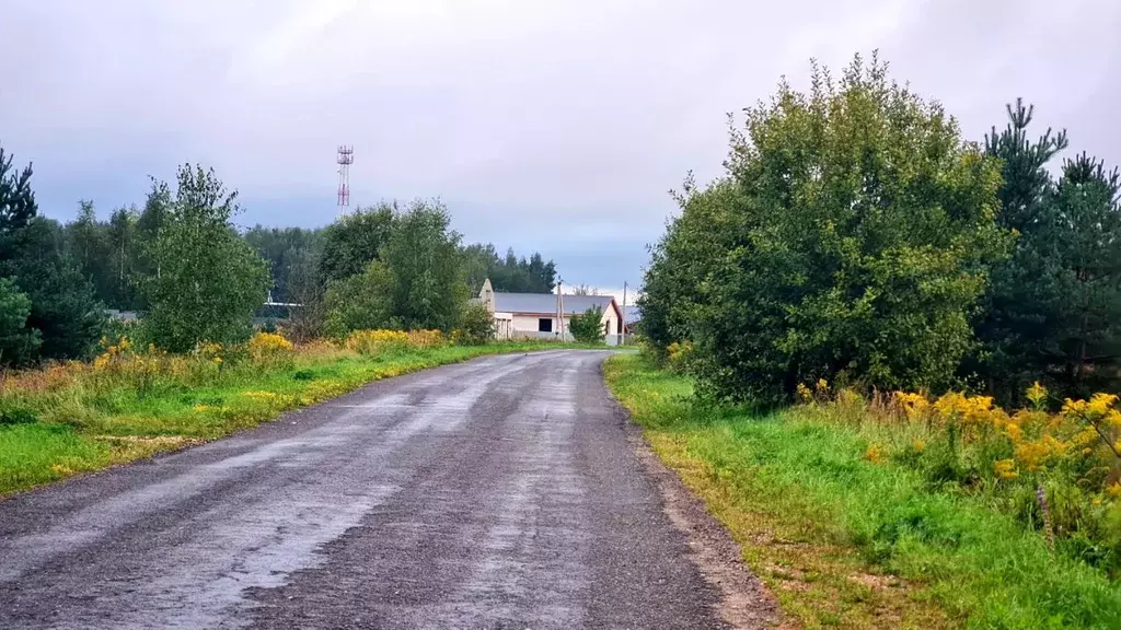Участок в Владимирская область, Камешковский муниципальный округ, д. ... - Фото 2