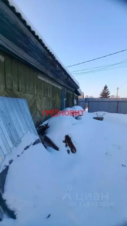 Дом в Новосибирская область, Новосибирск Дивногорская ул., 49 (47 м) - Фото 1
