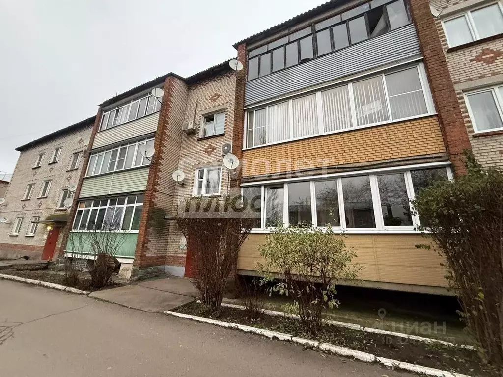 3-к кв. Московская область, Раменский муниципальный округ, д. ... - Фото 2