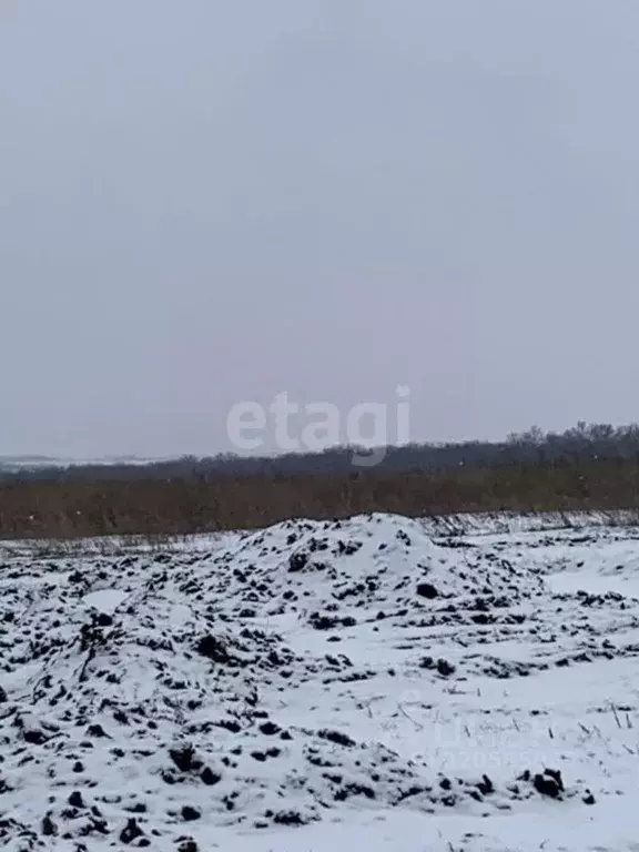 Участок в Белгородская область, Белгородский район, Головинское с/пос, ... - Фото 1