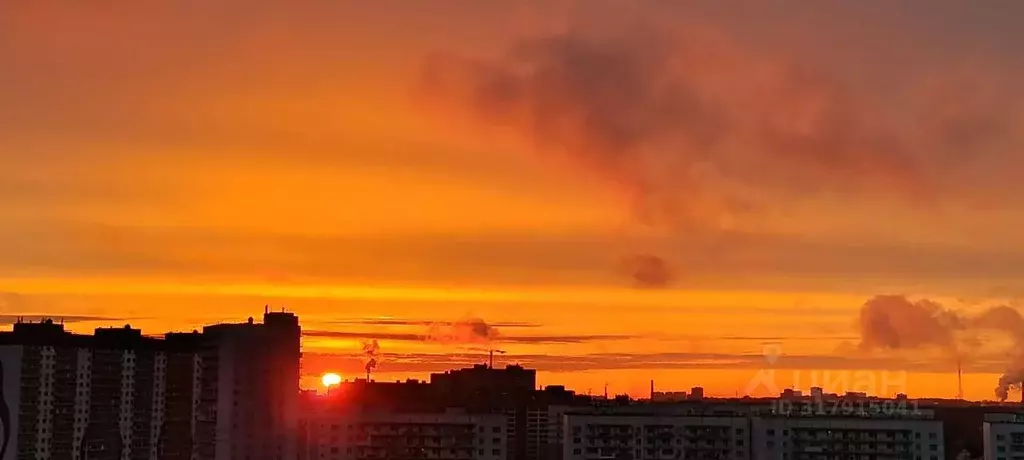 3-к кв. Новосибирская область, Новосибирск ул. Александра Чистякова, ... - Фото 1