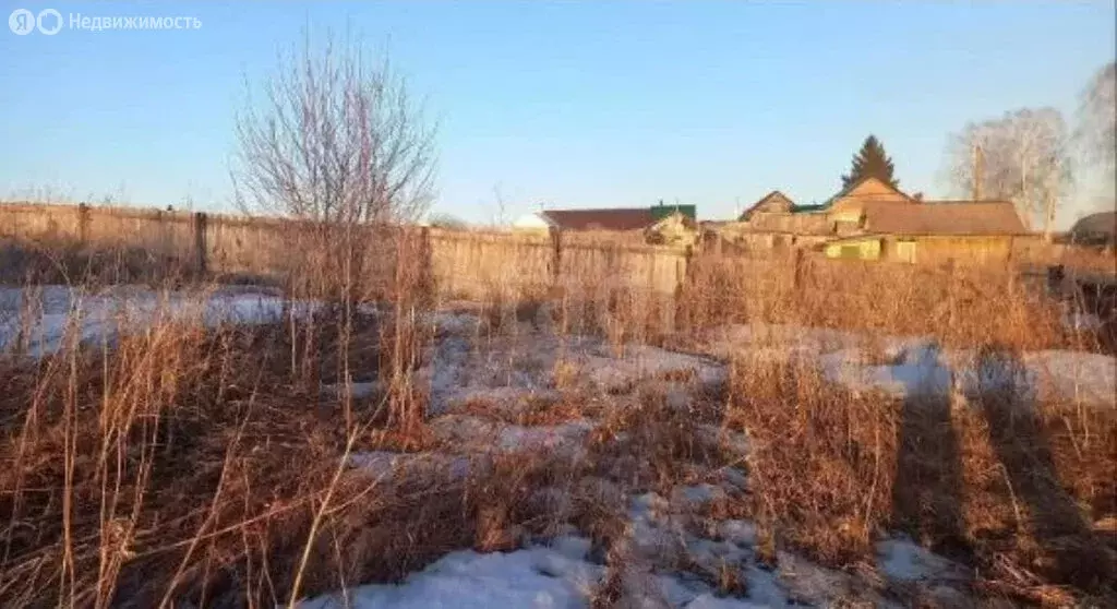 Участок в Новосибирский район, Станционный сельсовет, посёлок ... - Фото 2