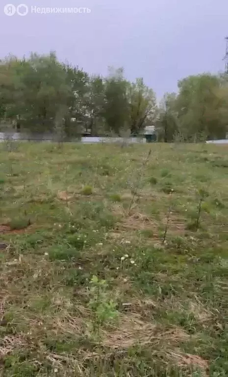 Участок в Одинцовский городской округ, СНТ Русь, 45 (10 м) - Фото 1