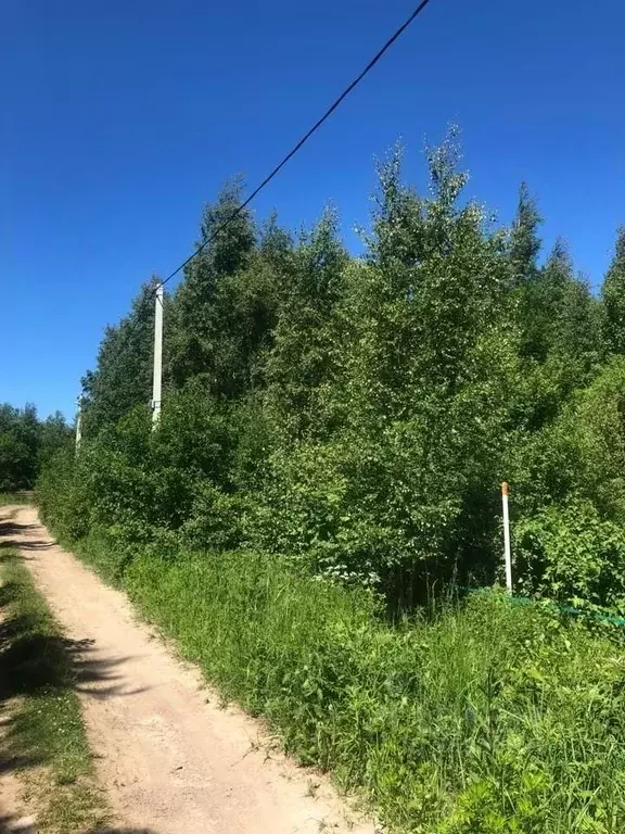 Участок в Ленинградская область, Всеволожский район, Рахьинское ... - Фото 0