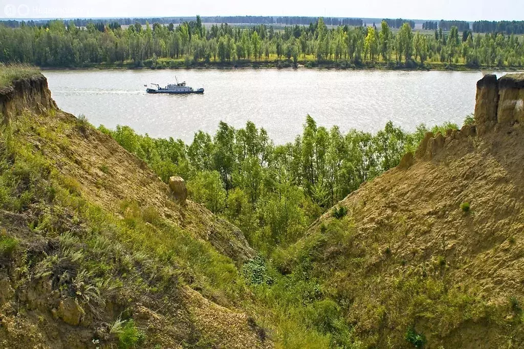 Участок в Омский район, Красноярское сельское поселение, деревня ... - Фото 0